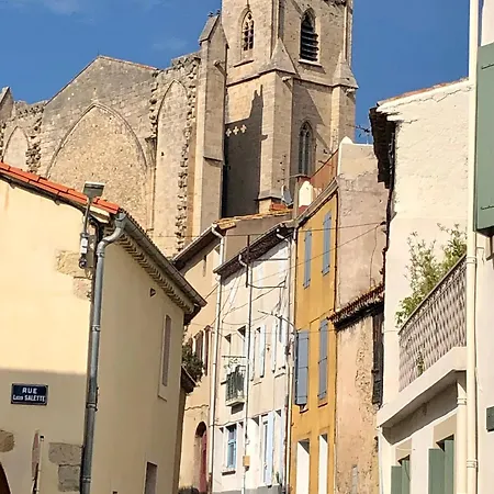 Vignerone Atypique Proche Du Canal Du Midi A 30 Min Des Plages *